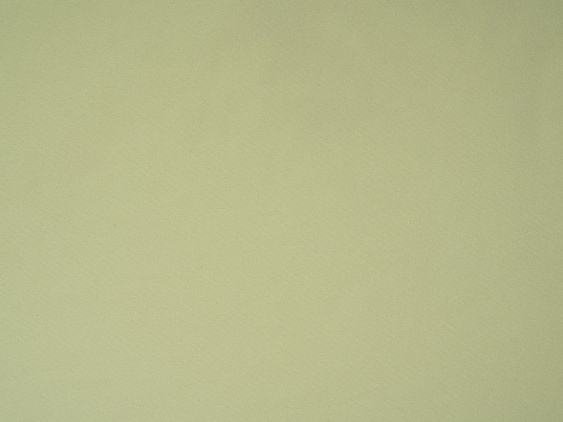 폴리 에스테르 스트레치 안감 직물